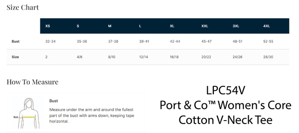 GeoCat - Port and Company Ladies V Neck